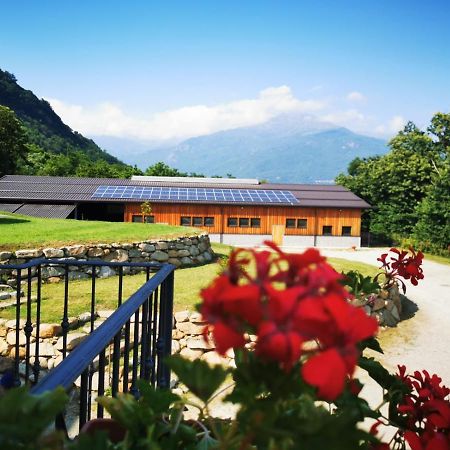 Agriturismo La Ca' D'Amelio Lessolo Luaran gambar