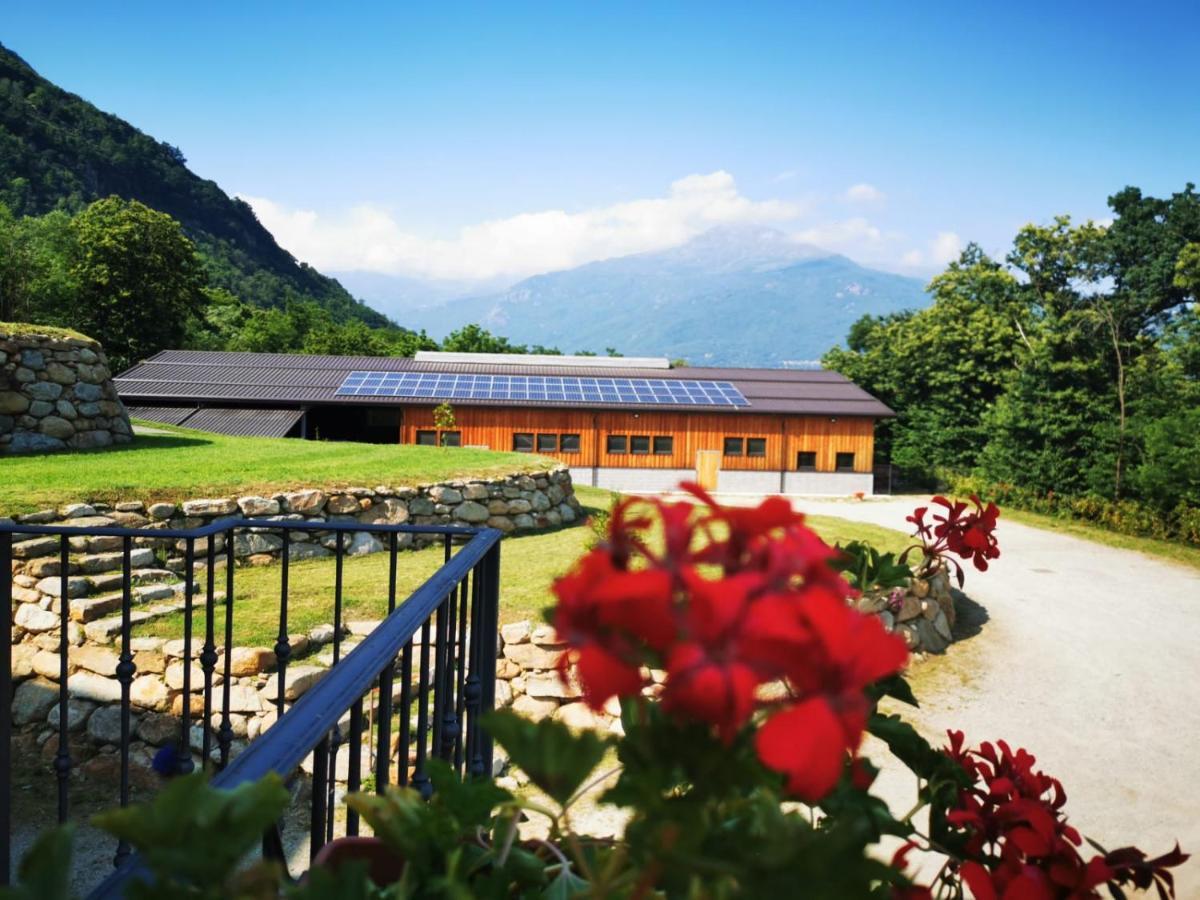 Agriturismo La Ca' D'Amelio Lessolo Luaran gambar