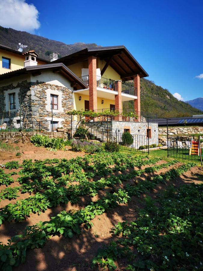 Agriturismo La Ca' D'Amelio Lessolo Luaran gambar